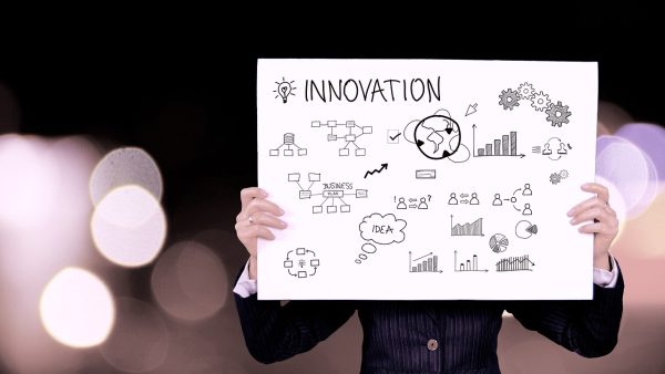 Major Site Selection Guide for Beginners